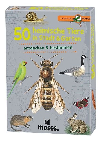 Spiel 10750.0