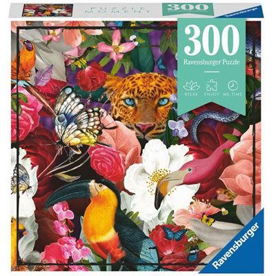Spiel 12563.0