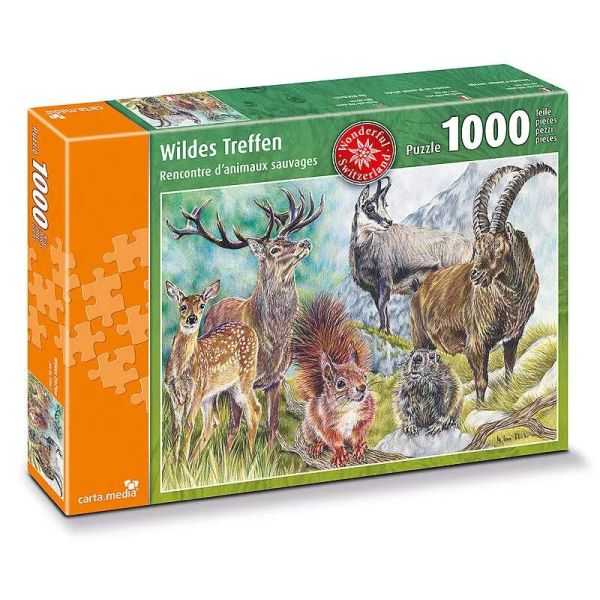 Spiel 13001.0