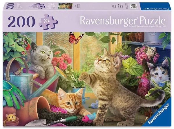 Spiel 13145.0