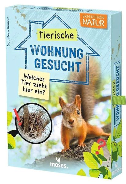 Spiel 13425.0